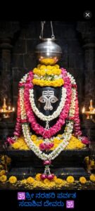 ಸೆ.11 ರಂದು ನರಹರಿಯಲ್ಲಿ ಸೋಣ ಅಮವಾಸ್ಯೆ ತೀರ್ಥಸ್ನಾನ